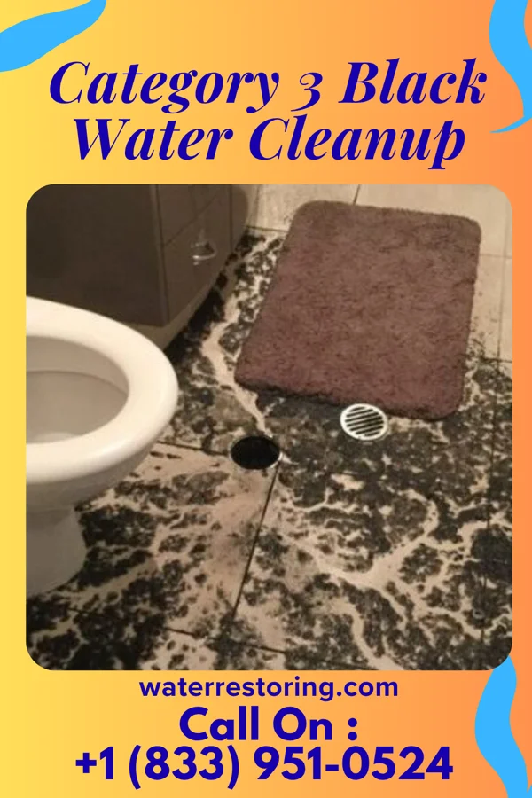 Category 3 Black Water Cleanup in Boyle, MS