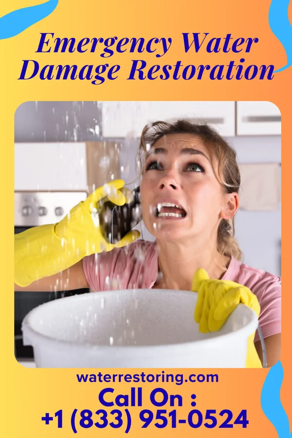 Emergency Water Damage Restoration in Boyle, MS